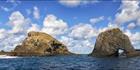Elephant Rock - Norfolk Island - NSW (PBH4 00 12379)